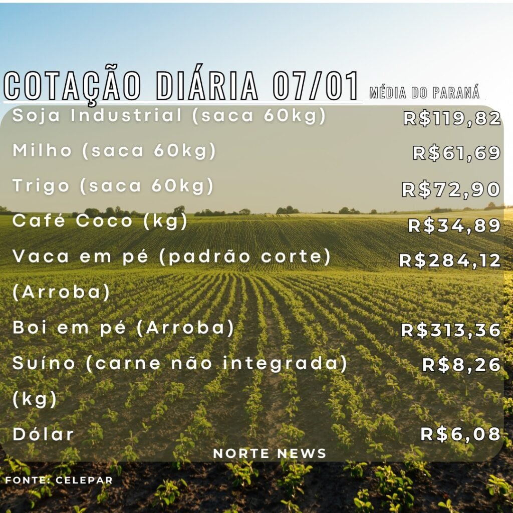 cotação 07-01