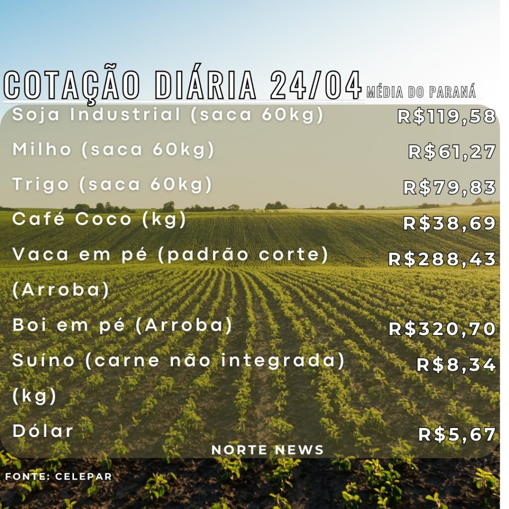 WhatsApp Image 2025-04-24 at 12.24.40